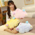Foreign Trade Factory Direct Sales Internet Celebrity Soft and Adorable Cloud Pillow Plush Toy Cushion Waist Pillow Photo Gift Wholesale Customization