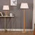 Simple Modern Fall Floor Lamp Nordic Fashion Creative Living Room Bedroom Bedside Floor Lamp Decorative Model Room Hotel Lamps