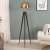 Post-Modern Tripod Floor Lamp American Minimalist Living Room Bedroom Study Lamp Personal Creative Home Hotel Lamp