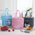 Cartoon Bento Bag Insulated Bag Factory Student Lunch Bag Hand Carry Heat Preservation Bag Wholesale Spot Printable Logo