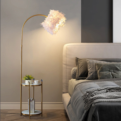 Feather Floor Lamp Light Luxury and Simplicity Internet Celebrity Living Room Bedroom Storage Coffee Table Night Fish Luring Lamp Vertical Table Lamp