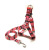 Factory Customized Medium to Large Dogs Dog Pet Printed Nylon Flat Traction Belt Rope I-Shaped Dog Leash Wholesale