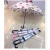 55cmeva Frosted Floral Umbrella Bear Transparent Umbrella Frosted Couple Plastic Advertising Umbrella Logo