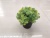 New Artificial Flower Black Plastic Basin Greenery Bonsai Fake Flower Decoration Living Room Bedroom Dining Room