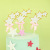 Cross-Border Amazon Double-Layer Shining Five-Pointed Star Cake Decorative Insertion Creative Party Dessert Bar XINGX Plug-in