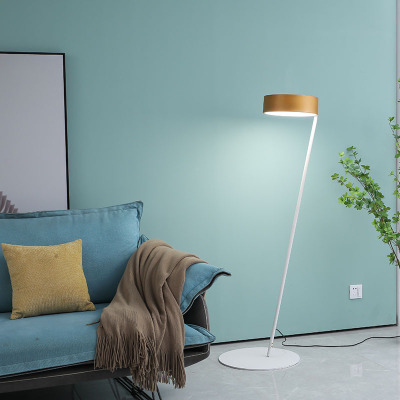 Floor Lamp Living Room Post-Modern Light Luxury Minimalist Nordic Ins Girl Internet Celebrity Study and Bedroom Bedside Design Table Lamp