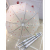 55cmeva Frosted Floral Umbrella Dream Drinking Time Transparent Umbrella Frosted Couple Plastic Advertising Umbrella Logo