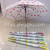 55cmeva Frosted Floral Umbrella Fruit Eva Transparent Umbrella Frosted Couple Plastic Advertising Umbrella Logo