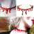 Halloween Simulation Blood Necklace Masquerade Bleeding Necklace Bracelet Blood Color Necklace Realistic Red Blood Drop