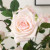 Moist Feeling Rose Artificial Bouquet Living Room Dining Table Home Decorative Fake Flower Decoration Silk Flower Vase Flower Arrangement