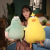 Factory Direct Sales Foreign Trade Cute Chicken Pillow Doll Plush Toys Frog Doll Ragdoll Couple Double Pillow Gift