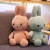 Foreign Trade Factory Direct Sales Cartoon Rabbit Doll Plush Toys Little Bunny Ragdoll Doll Birthday Gift Girl