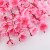 Simulation Peach Branches Fake Flower Single Dried Flower Cherry Blossom Living Room Decoration Branch Chimonanthus Silk Flower Fake Trees Landscaping Decoration
