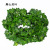 Simulation Leaf Simulation Rattan Green Leaves Simulation Ivy Leaves Vine Ivy Strip Artificial Green Leaf Leaves Vine Vine Simulation Flower