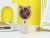 [Brand Item No.] Sq2237a
[Product Name] Bear Light Two Gear Rechargeable Fan
