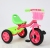 Bicycle Children Tricycle Trolley Stroller Gift Simple Tricycle with Frame Pedal