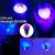 UV Purple Light Led Transparent Lamp Shade Purple Fluorescent Bulb 395nm Amazon Hot Sale 12W Purple Light Globe Ambience Light