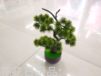 New Imitative Tree Black Plastic Basin Welcome Pine Bonsai Decoration Living Room Dining Room and So on