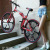 Folding Bicycle Double Shock Absorber Disc Brake Variable Speed Mountain Bike Student Male and Female Style Integrated 