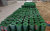Holland Network Grass Green/Holland Wire Mesh/Fence