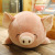 Foreign Trade Manufacturers Customize Plush Lying Pig Doll Toys Doll Pillow Bed Sleeping Pillow Doll Doll