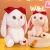 Cute Big Ear Rabbit Doll Bow Bunny Ragdoll Plush Toy Birthday Gift for Girls Bed Doll