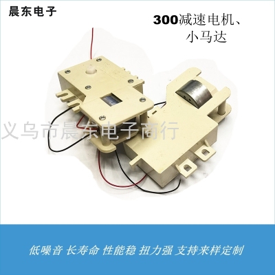Factory Direct Sales 300 Reduction Motor