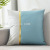 Factory Direct Sales Faux Leather Pillow Cushion Living Room Leather Sofa Waist Pillow Light Luxury Pillow Cover Modern Pillow without Core