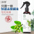 Anti-Mite Spray Yunnan Herbal Green Pepper Environmental Protection Mites Agent Plant Clothing Bedding Mite-Removal Wash-Free Quick-Drying