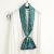 Autumn Creative Long Women's Fashion All-Matching Korean Style Scarf Long Thin Narrow Neckerchief Gift Scarf Wholesale