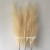 Artificial Pampas Grass Decor Plume Grass Artificial Phragmites Australis Vase Decorations Home Room Decor Fake Redds