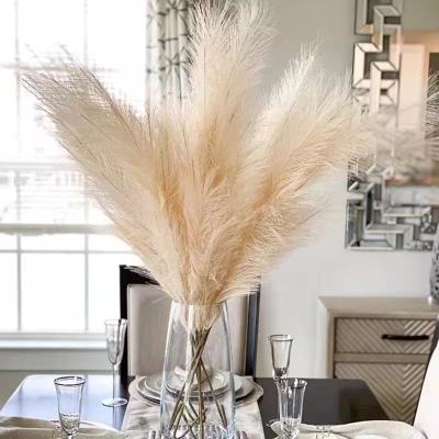 Artificial Pampas Grass Home Room Decor Simulation Reed Flower Bouquet DIY Wedding Decoration Birthday Party Supplies