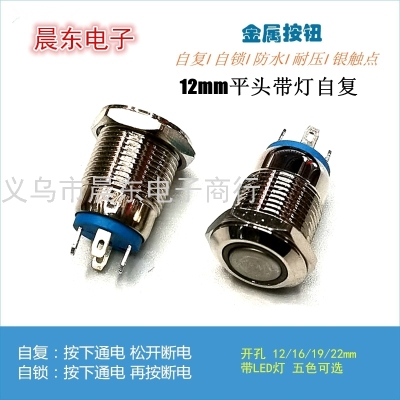 12mm Metal Button Switch Small Waterproof Self-Locking Switch Flat Head with Light Self-Recovery Metal Button