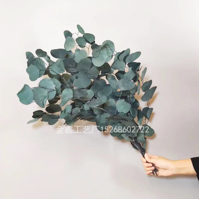 Natural Dried Flowers  Bouqet Eucalyptus Arrangement In Vase Eternal Flowers for Decoration DIY Wedding Home Decor