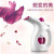 Portable Mini Face Steaming Hang and Iron All-in-One Machine for Foreign Trade