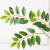 Simulation Elm Leaf Fake Leaves Dried Branches Decorative Landscaping Green Leaves Indoor Modeling Green Leaf Plant Chinese Scholartree Leave