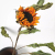 5pcs Sunflower Decoration Natural Dried Flower House Decor Dry Plant Wedding Party Christmas Bedroom Home Design Room Or