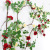 Artificial Rose Rattan Decoration Hanging Flower Winding Fake Flower Vine Indoor Plastic Flower Air Conditioner Pipe Hiding Plant