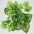 Spot Goods Feel Small 5 Leaves Green Simulation Plant Wall Accessories Artificial/Fake Flower Bunches Decoration