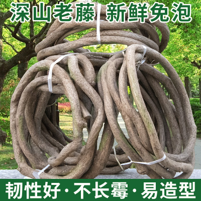 Timbo Dried Vine Natural Vine Branches Greenery and Fake Flowers Simulation Plant Landscaping Vine Wedding Pipe Decoration Rattan
