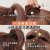 2022 New Small Jaw Clip Women's High Ponytail Barrettes Anti-Collapse Fixed Gadget Shark Clip