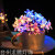 Solar LED Cherry Blossom Lighting Chain Outdoor Waterproof Courtyard Decoration Peach Blossom Lamp Christmas Flower Ornamental Festoon Lamp