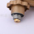 Gas Cylinder Pressure Reducing Valve Household Safe and Explosion Protective Valve Head Gas Stove Accessories Wholesale