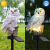 Parrot Solar Ground Lamp Garden Creative Resin Solar Decorative Lamp Courtyard Led Solar Lawn Lamp