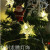 Snowflake Lighting Chain LED Christmas Lights Star Lights Battery Box Flashing Light Lighting Chain Christmas Holiday Decorative Lights Wholesale