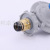 Pressure Reducing Valve Household Gas Valve Pressure Reducing Valve Bottled Adjustable Wholesale Pressure Reducing Valve