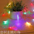 New Arrival Hot Sale Optic Fiber Flower Lighting Chain Girl's Room Decoration Ins Small Colored Lights Christmas Holiday Decoration Flashing Light
