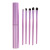 Factory Wholesale New 5 Brushes Makeup Brush Set Beginner Eye Shadow Brush Independent Box Easy to Carry