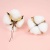 Cotton Head Natural Dried Flower Artificial Flower Cotton Home Christmas Decor DIY Garland Wreath Floral Wall Material