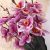 Factory Direct Supply Wedding Simulation Flower Silk Screen Phalaenopsis Ceiling Plug Bouquet Road Lead Decoration Artificial Fake Flower Silk Flower